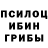 Псилоцибиновые грибы мицелий Peter Stanczak