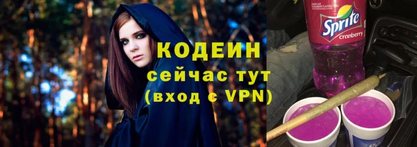 тгк Абаза