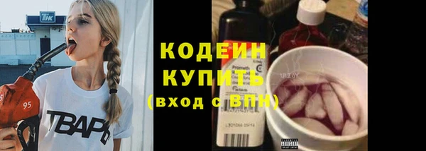 тгк Абаза