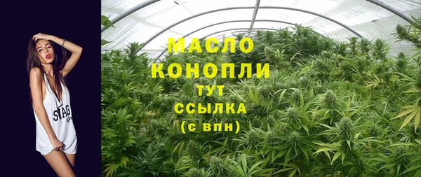 тгк Абаза