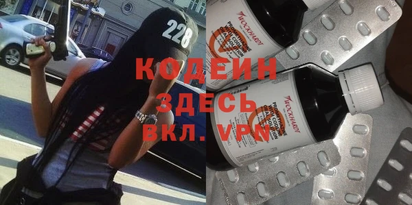 тгк Абаза