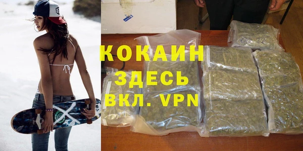 тгк Абаза