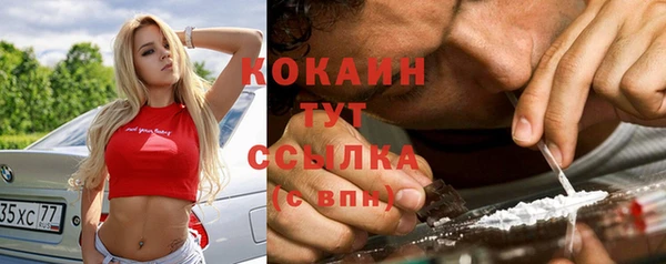 тгк Абаза