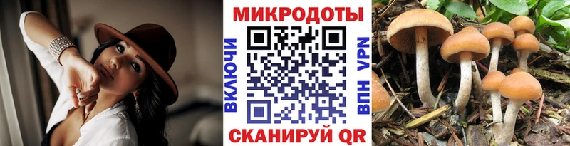 Галлюциногенные грибы ЛСД купить закладку Полысаево
