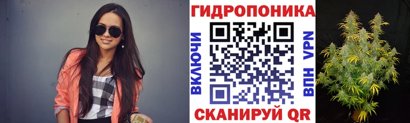 omg маркетплейс Полысаево Бошки Шишки гибрид дарнет шоп